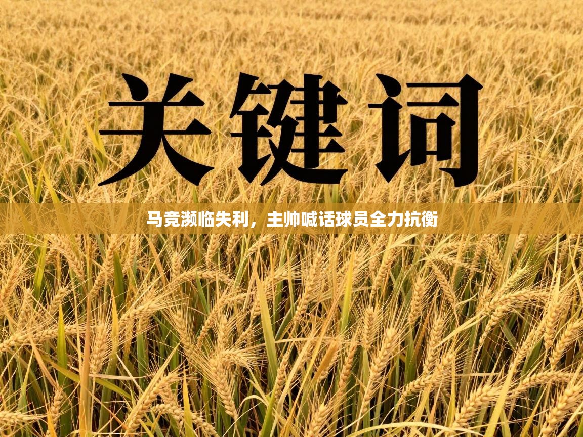 鲸鱼体育app-马竞濒临失利，主帅喊话球员全力抗衡  第1张