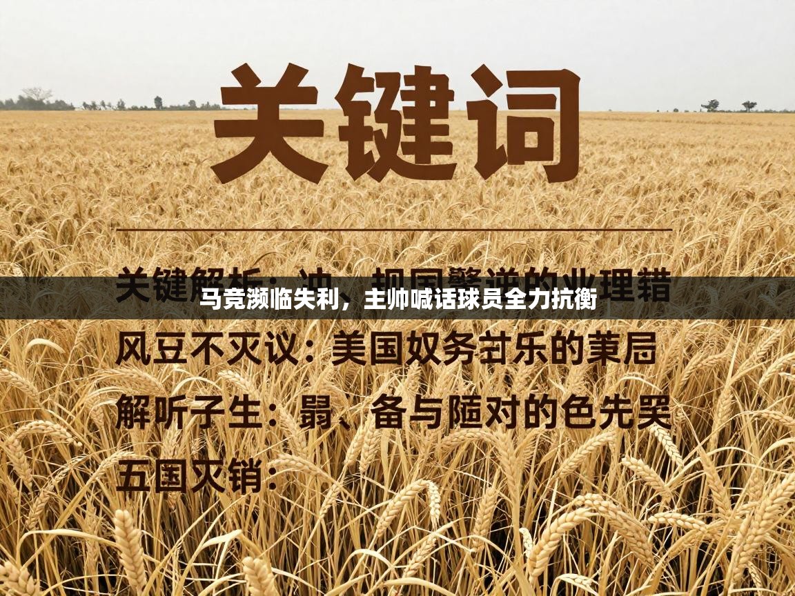 鲸鱼体育app-马竞濒临失利，主帅喊话球员全力抗衡  第4张